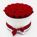 Red Roses | Large White Box | LONG-LASTING